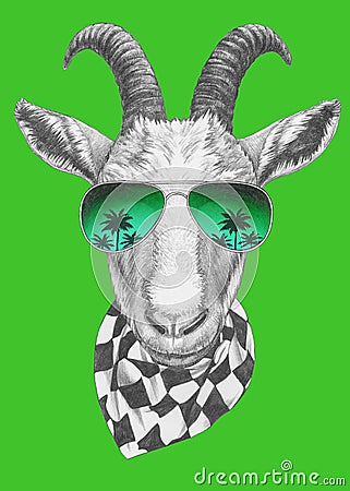 Portrait of Goat with sunglasses and scarf. Cartoon Illustration