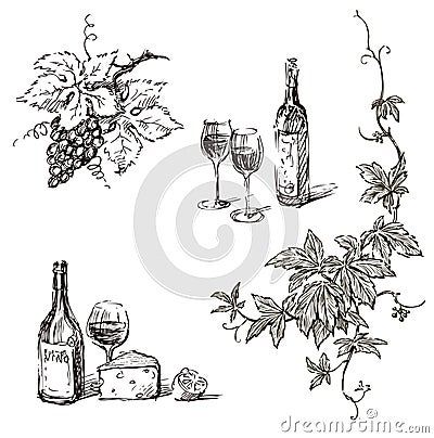 Hand drawn illustration of ripe grape bunch, wine bottles,wine glasses, cheese, lemon, vine branch with leaves and tendrils Vector Illustration