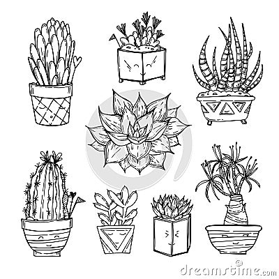 Hand drawn illustration - Set of cute cactus and succulents. Vector Illustration