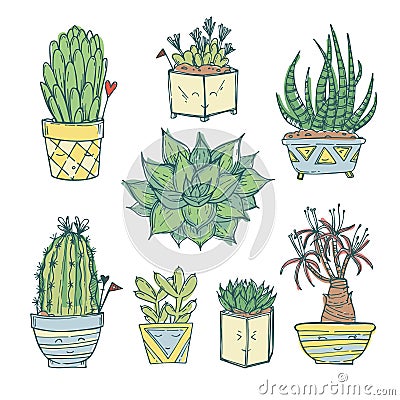 Hand drawn illustration - Set of cute cactus and succulents. Vector Illustration