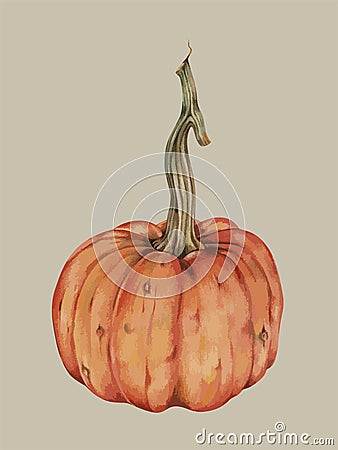 Hand drawn image of a pumpkin Stock Photo