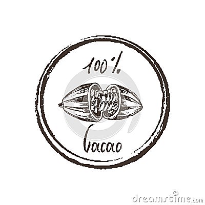 Cacao bean. Hand drawn imprint. Chalk style vector Vector Illustration