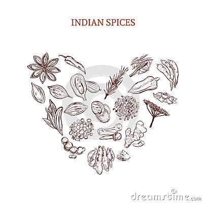 Hand Drawn Indian Spices Concept Vector Illustration