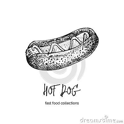 Hand drawn ink sketch hot dog. Engraving style. Fast food breakfast collection. Good idea for your cafe menu design, street Vector Illustration