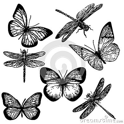 Hand drawn of insects Vector Illustration