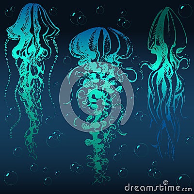 Hand drawn jellyfish Vector Illustration