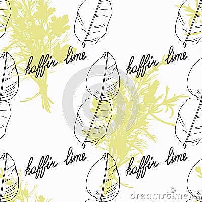 Hand drawn kaffir lime branch and handwritten sign Vector Illustration