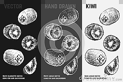 Hand drawn kiwi. Fruits sketch vector set Vector Illustration