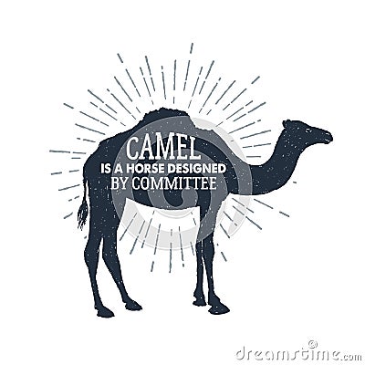 Hand drawn label with textured camel vector illustration and lettering. Vector Illustration