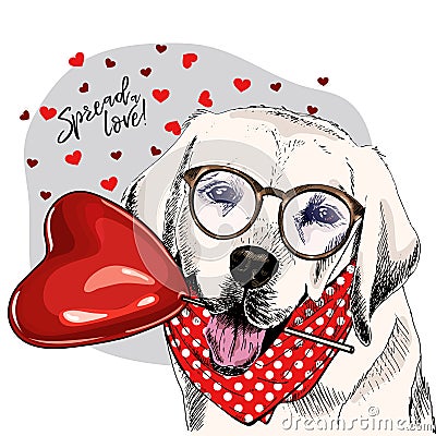 Hand drawn labrador retriever with heart shape baloon. Vector Valentine day greeting card. Cute colorful dog wears Vector Illustration