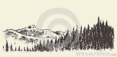 Hand drawn landscape fir forest and meadow sketch Vector Illustration