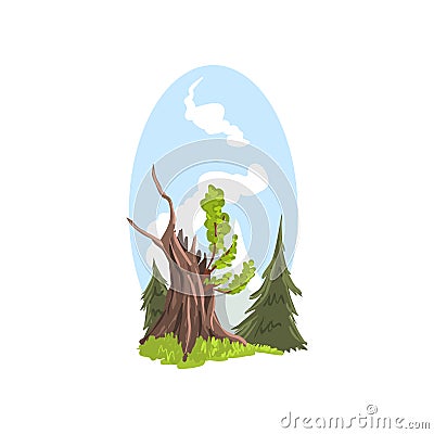 Hand drawn landscape young branches growing from old tree, firs behind. Coniferous and deciduous trees. Flat cartoon Vector Illustration