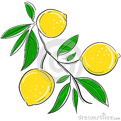 Hand drawn lemon with leaves. Sketch citrus. Vector illustration. Vector Illustration