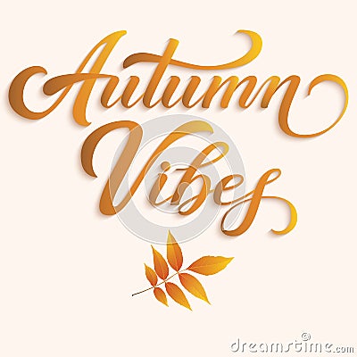 Hand drawn lettering - Autumn Vibes with autumn leaves. Elegant modern handwritten calligraphy. Vector Ink illustration Vector Illustration