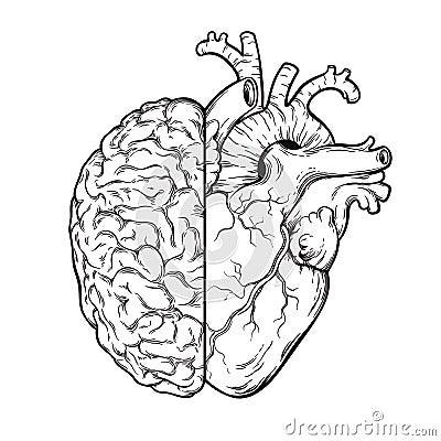 Hand drawn line art human brain and heart halfs - Logic and emotion priority concept. Print or tattoo design isolated on white bac Vector Illustration