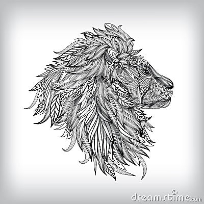 Hand Drawn Lion Illustration Vector Illustration