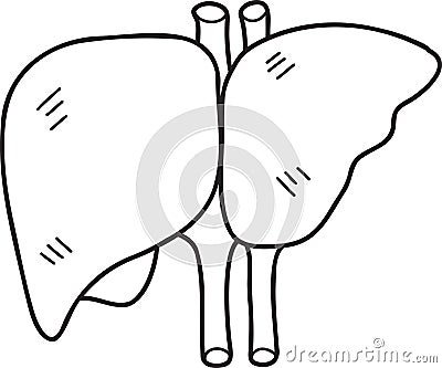 Hand Drawn liver illustration Vector Illustration