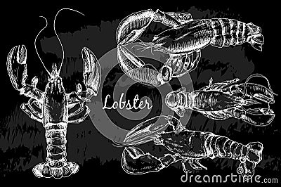 Hand drawn lobster in sketch style Vector Illustration