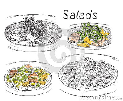 Hand drawn lunch menu of the salads Vector Illustration