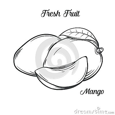 Hand drawn mango icon. Vector Illustration