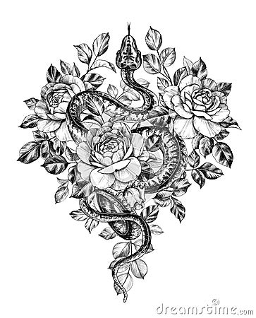 Hand Drawn Monochrome Creeping Python wth Roses Cartoon Illustration