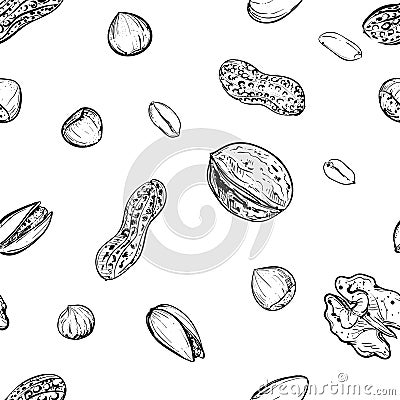 Hand drawn monochrome vector seamless pattern of walnuts, hazelnuts, pistachios, peanuts. sketch. Vector eps 8 Vector Illustration