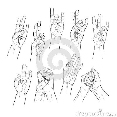 Hand drawn mudra, wise of fingers. Vector illistration of yoga. Vector Illustration