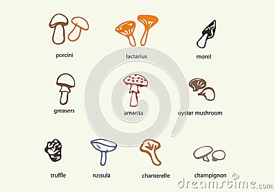 Hand drawn mushrooms clip art vector set. Vector Illustration