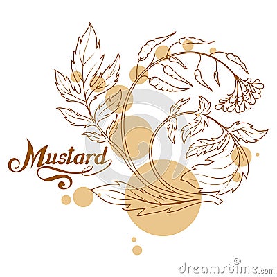 Hand drawn mustard plant, spicy ingredient, mustard logo, healthy organic food, spice mustard isolated on white background Vector Illustration