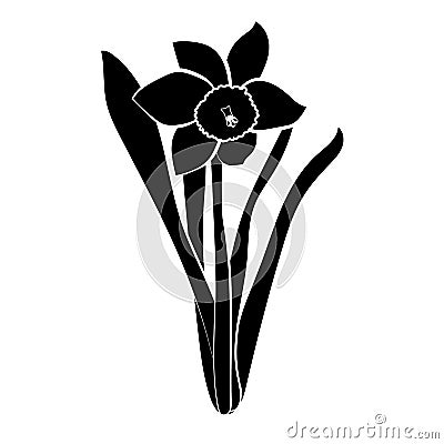 Hand drawn narcissus flowers. Elegant vintage card. Black narcissus with white stroke. Vector illustration. Stock Photo