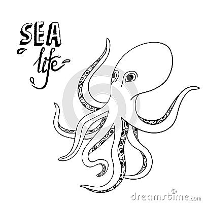 Hand drawn octopus. Sketch wild sea life. Creature in the ocean Vector Illustration