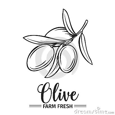 Hand drawn olive icon. Vector Illustration