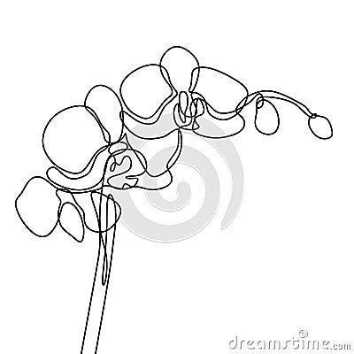 Hand drawn orchid flower. One line drawing continuous illustration vector. Minimalist art design of minimalism on white background Vector Illustration