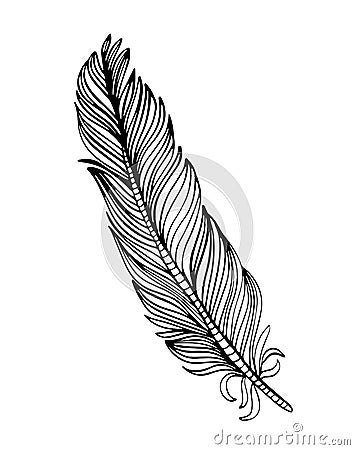 Hand drawn ornamental feather, line art, zentangle inspired illustration Cartoon Illustration
