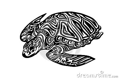 Hand drawn ornate turtle sketch. Vector black ink drawing animal isolated on white background. Graphic illustration Vector Illustration