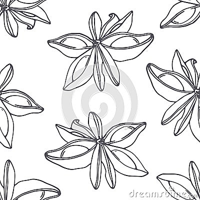 Hand drawn outline seamless pattern with anise. Black and white food background Vector Illustration