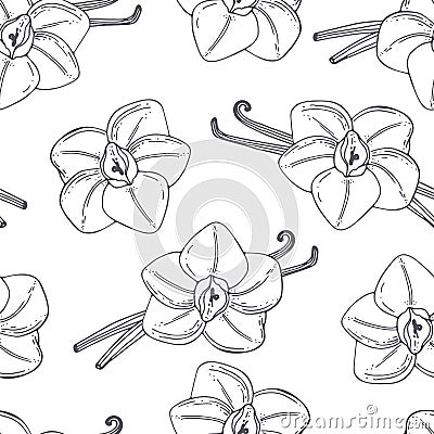 Hand drawn outline seamless pattern with vanilla. Black and white food background Vector Illustration