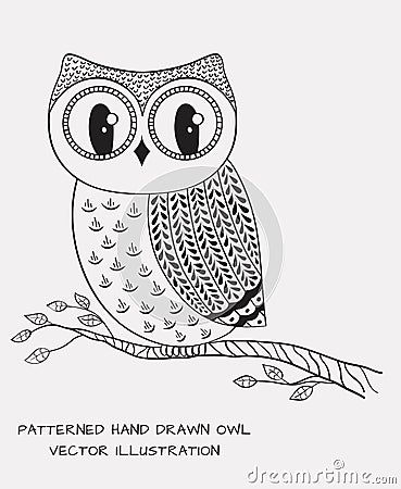 Hand drawn owl. Vector illustration. Vector Illustration