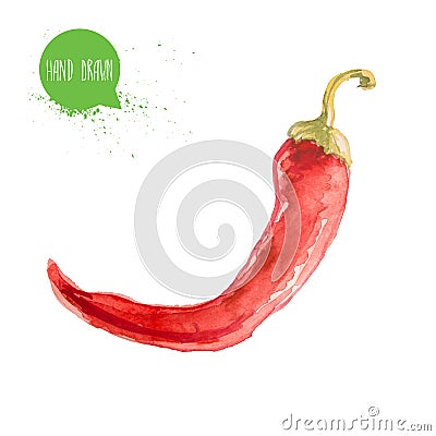 Hand drawn and painted watercolor red hot chilli pepper. Capsicum isolated on white background. Cartoon Illustration