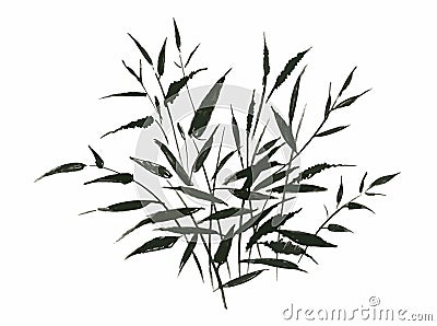 Hand drawn painting with field plants on white background. Vector Illustration