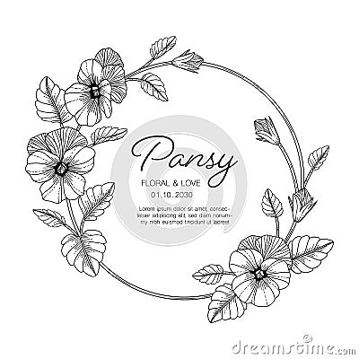 Hand drawn pansy floral greeting card background Cartoon Illustration