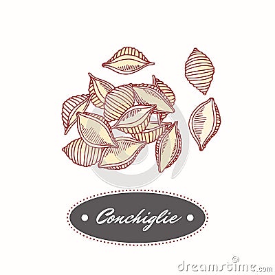 Hand drawn pasta conchiglie isolated on white. Element for restaurant or food package design Vector Illustration