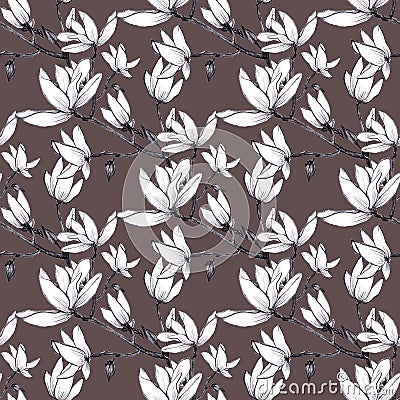 Hand drawn pattern seamless magnolia flowers on brown background. Stock Photo