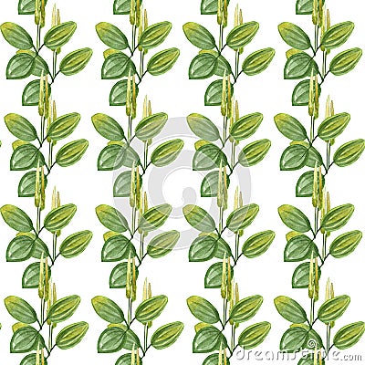 Hand drawn pattern seamless watercolor drawing of plantain with yellow flowers and green leaves isolated on white backdrop. Stock Photo