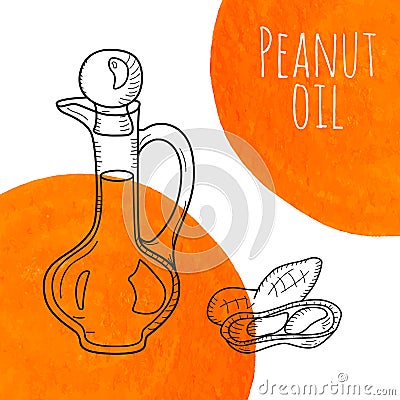 Hand drawn peanut oil bottle with orange watercolor spots Vector Illustration