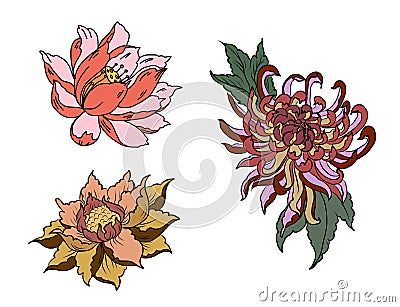 Hand drawn Peony flower, Lotus and chrysanthemum flower Chinese style vector art. Chinese tattoo design pink Peony flower. Vector Illustration