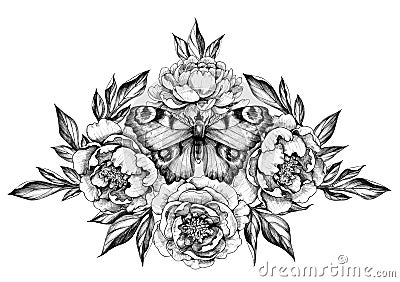 Hand Drawn Peony Flowers and Butterfly Stock Photo