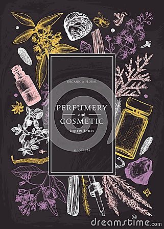 Hand drawn perfumery and cosmetics ingredients design on chalk board. Decorative background with vintage aromatic plants, fruits, Vector Illustration