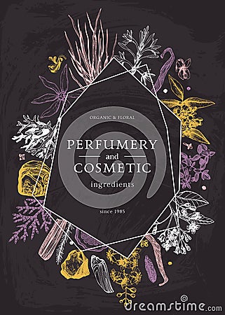 Hand drawn perfumery and cosmetics ingredients trendy design on chalk board. Decorative background with vintage aromatic plants, Vector Illustration