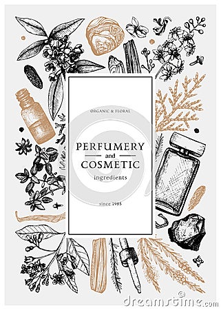 Hand drawn perfumery and cosmetics ingredients vintage banner. Decorative background with aromatic plants, fruits, spices, herbs Vector Illustration